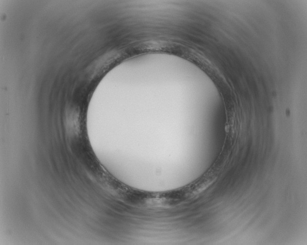 X0000066020216200603241543