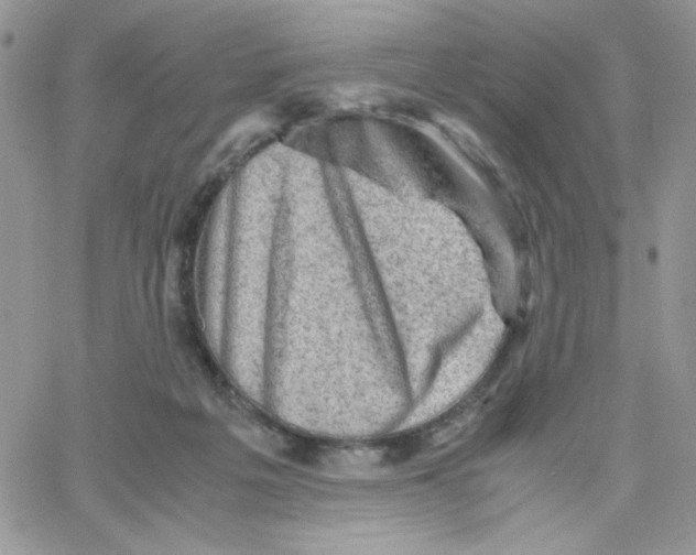 X0000066020217200603241543