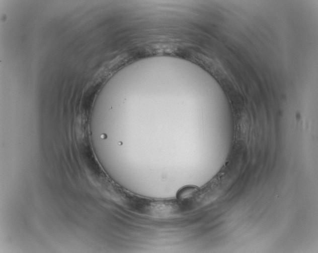 X0000066020218200603241543