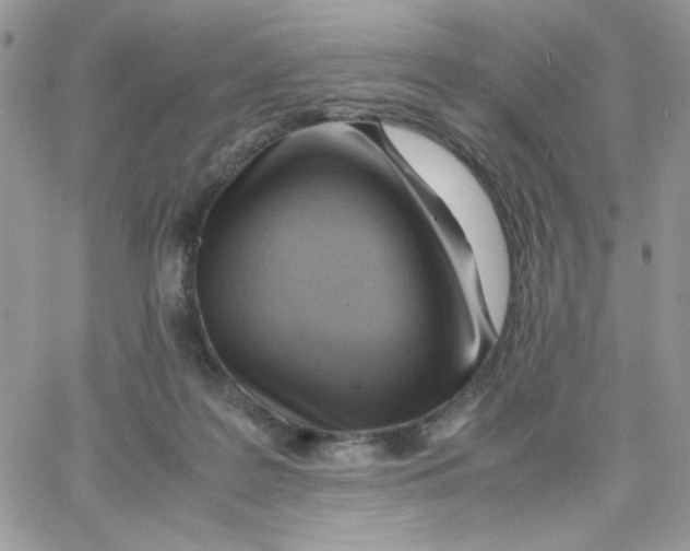 X0000066020219200603241543