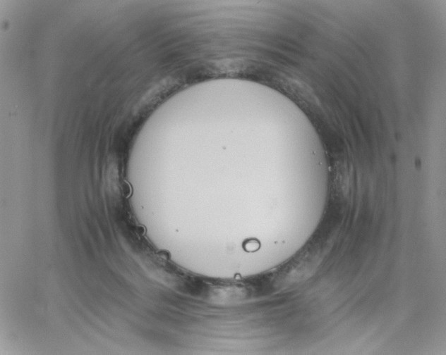 X0000066020220200603241543