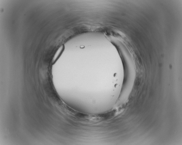 X0000066020221200603241543