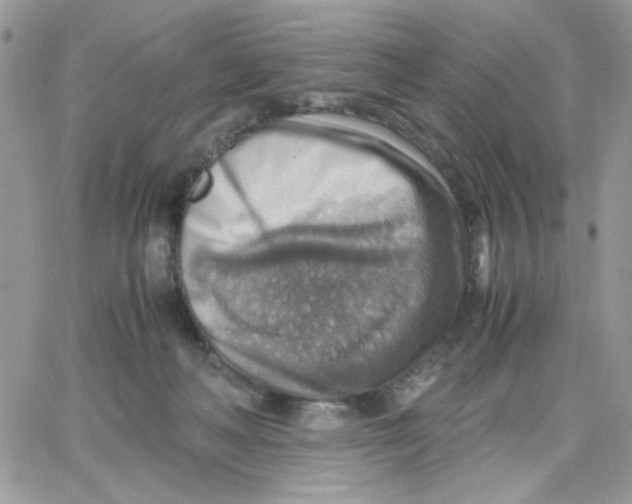 X0000066020222200603241543