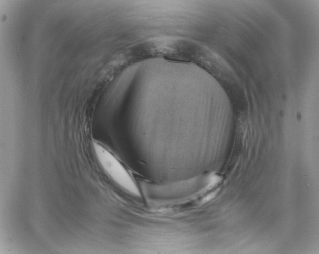 X0000066020223200603241543