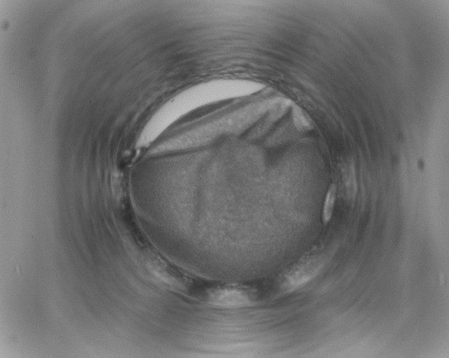 X0000066020224200603241543