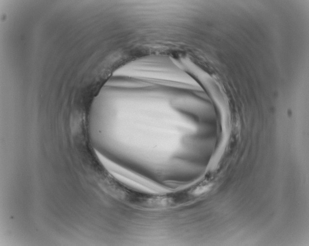 X0000066020225200603241543