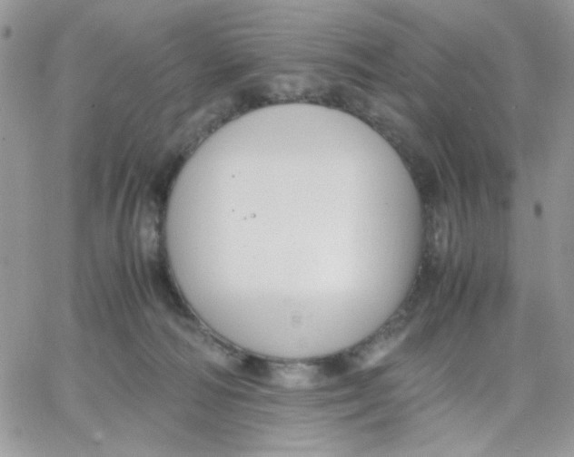 X0000066020226200603241543