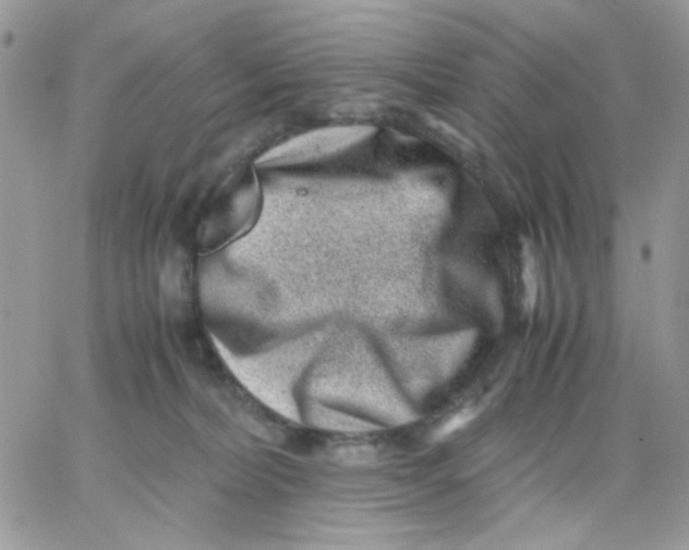 X0000066020228200603241543