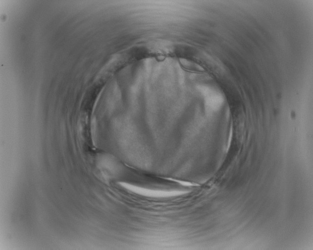 X0000066020229200603241543