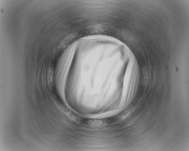 X0000066020230200603241543