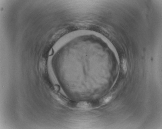 X0000066020231200603241543