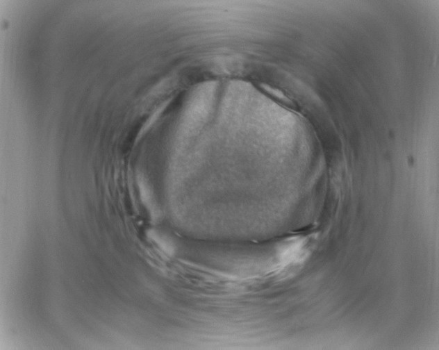 X0000066020233200603241543