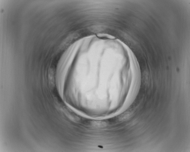 X0000066020234200603241543