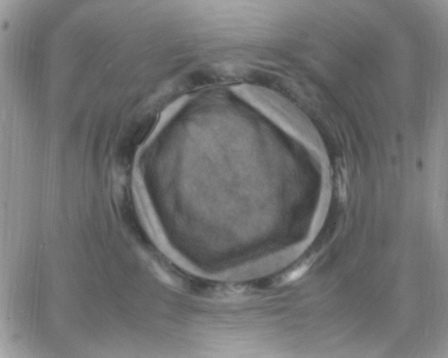 X0000066020235200603241543