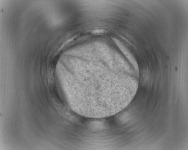 X0000066020236200603241543