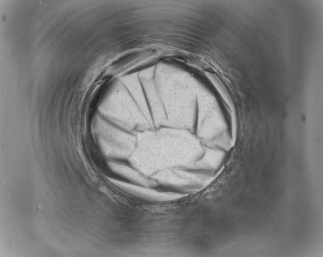 X0000066020241200603241542