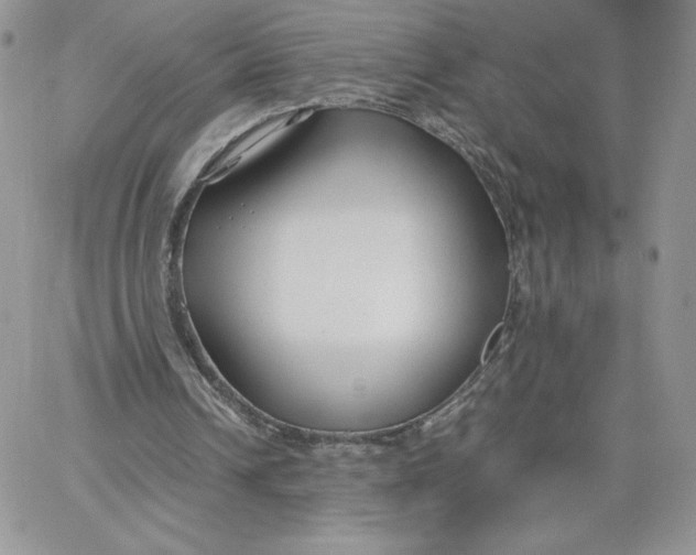 X0000066020242200603241542