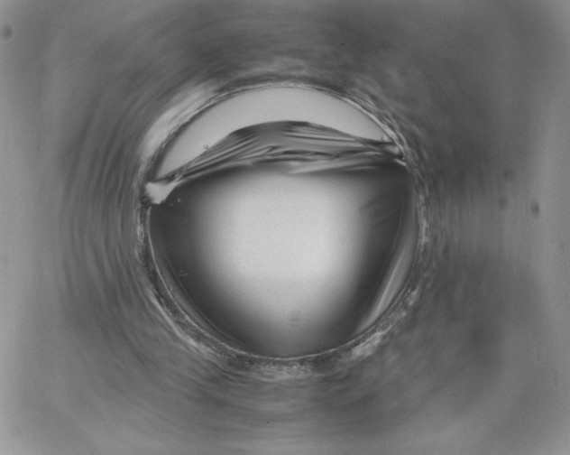 X0000066020245200603241542