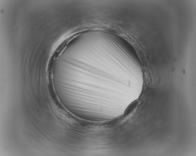 X0000066020246200603241542