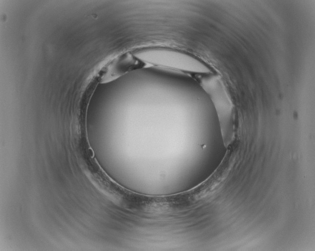 X0000066020252200603241542