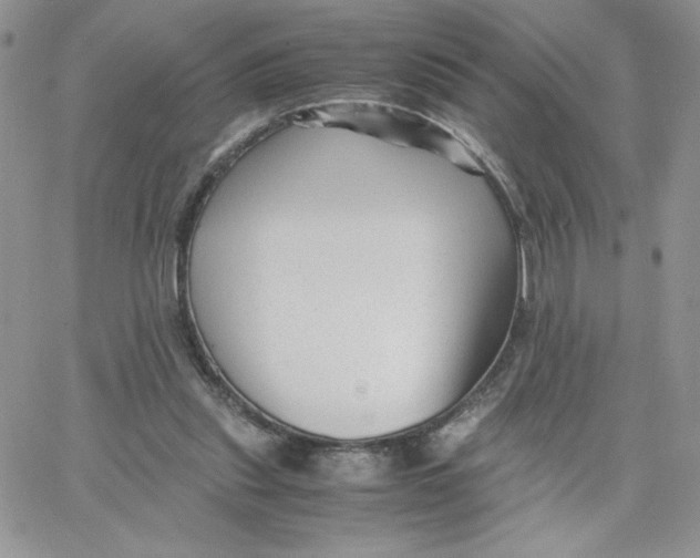 X0000066020253200603241542