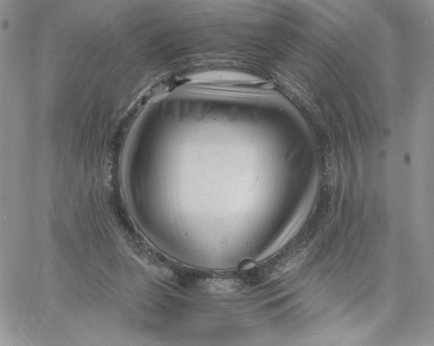 X0000066020255200603241542