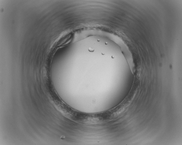 X0000066020256200603241542