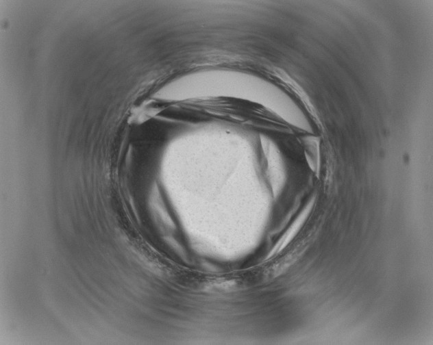 X0000066020257200603241542