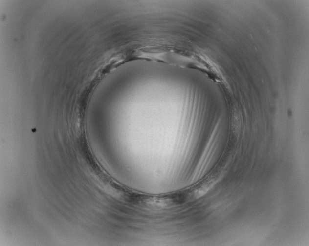 X0000066020261200603241542