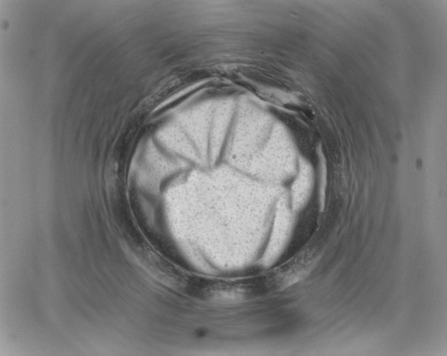 X0000066020263200603241542