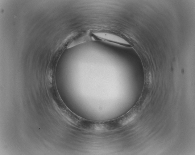 X0000066020264200603241542