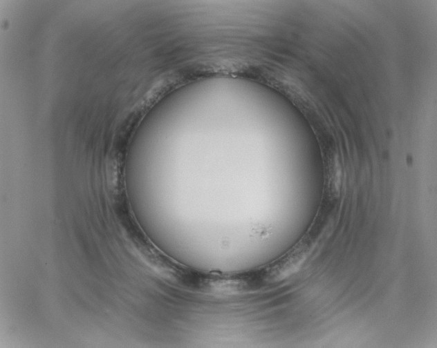 X0000066020268200603241542