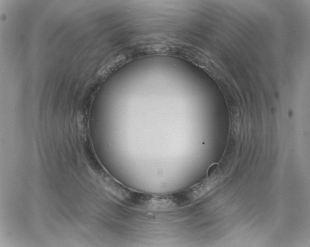 X0000066020270200603241542