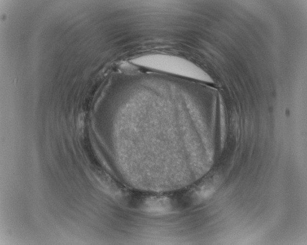 X0000066020271200603241543