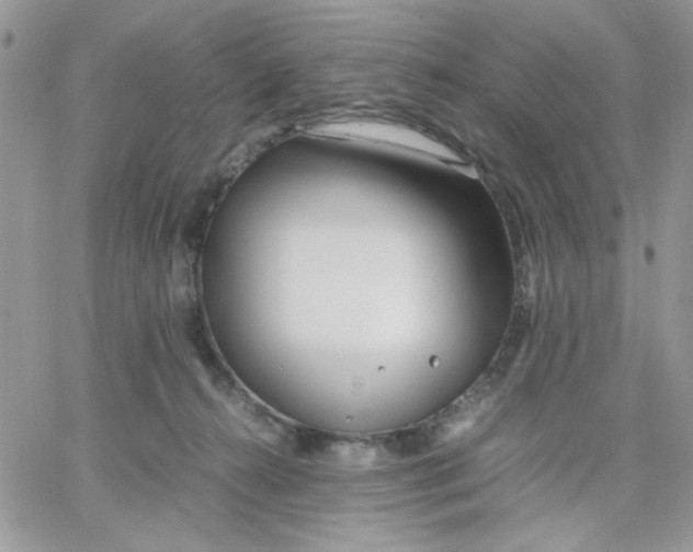 X0000066020272200603241543