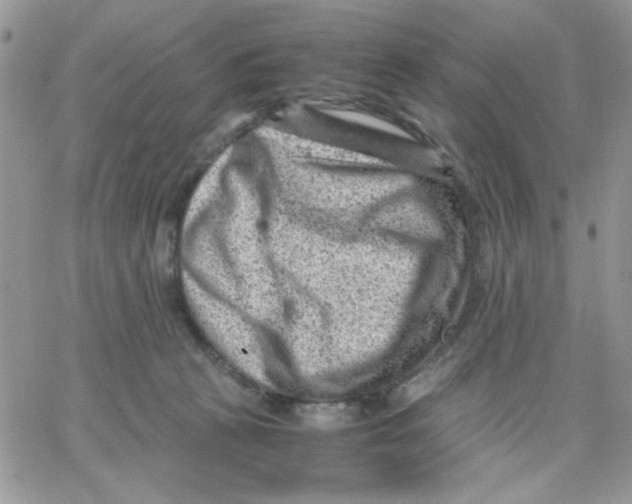 X0000066020273200603241543