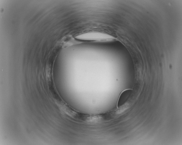 X0000066020274200603241543