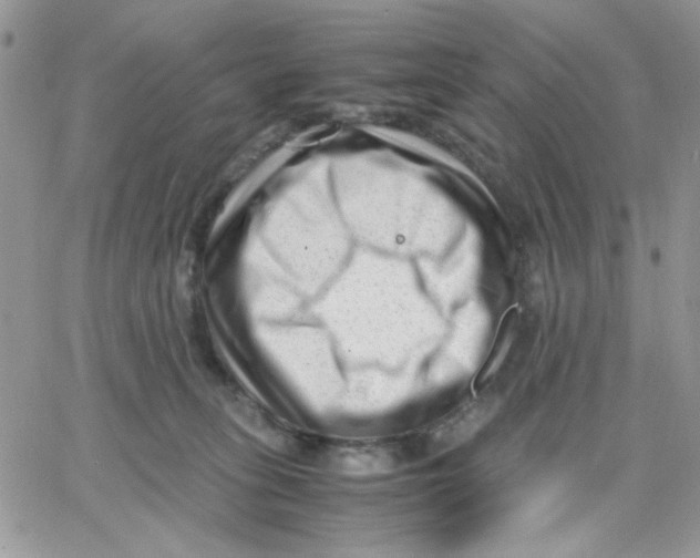 X0000066020275200603241543