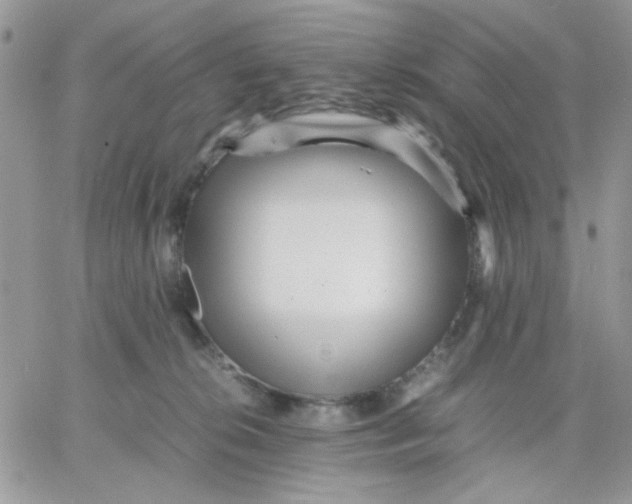 X0000066020276200603241543