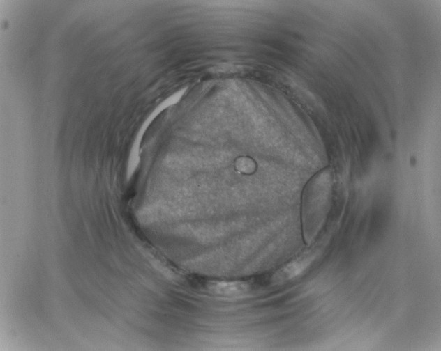 X0000066020277200603241543