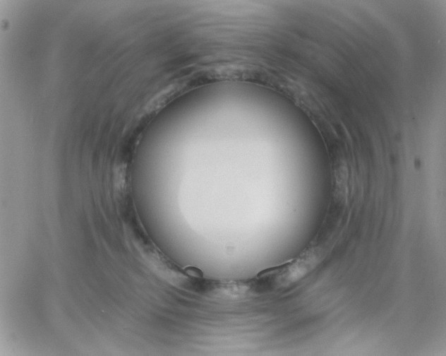 X0000066020278200603241543