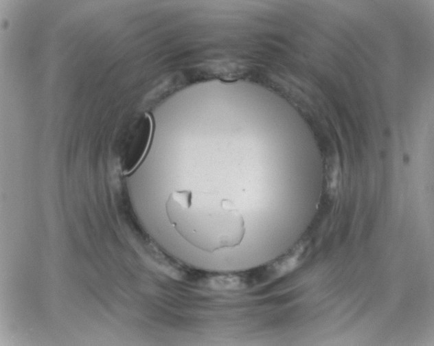 X0000066020279200603241543