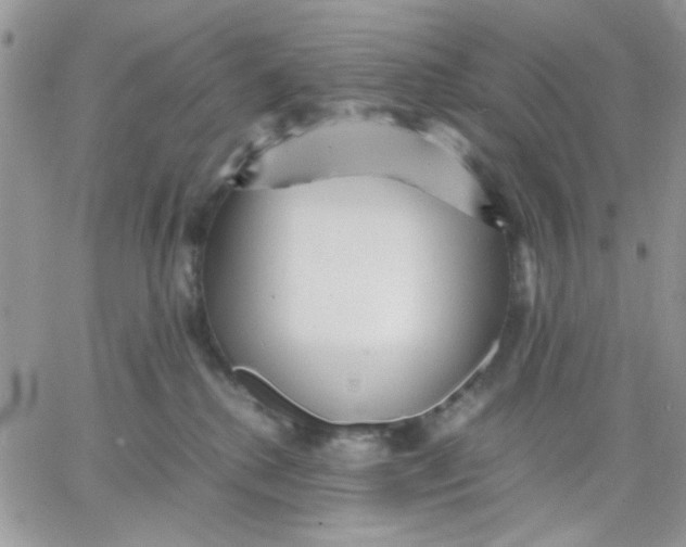 X0000066020280200603241543