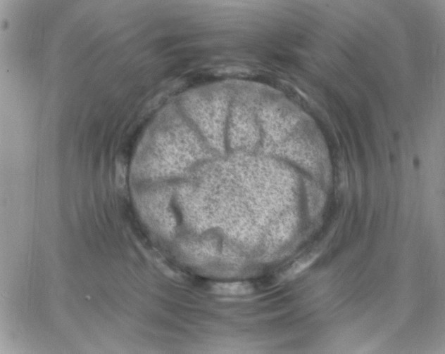 X0000066020281200603241543