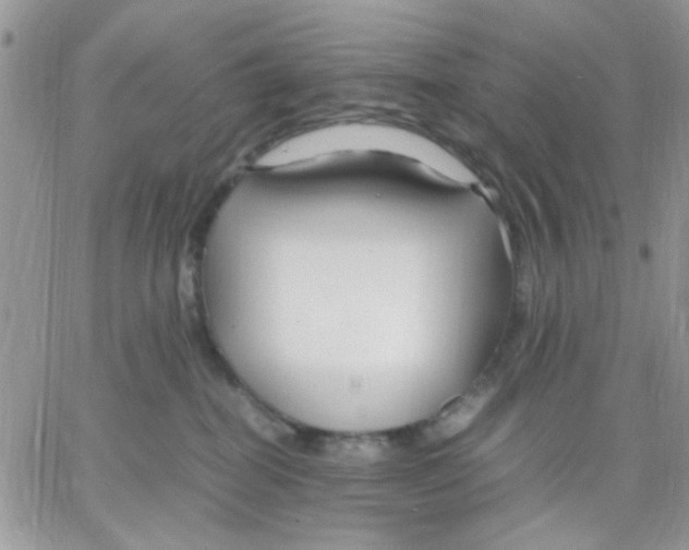 X0000066020282200603241543