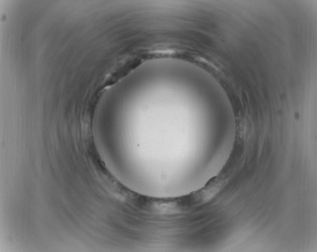 X0000066020283200603241543