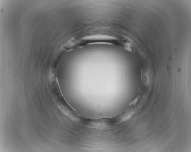 X0000066020284200603241543