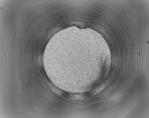 X0000066020285200603241543