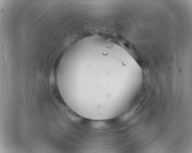 X0000066020287200603241543