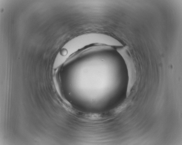 X0000066020288200603241543